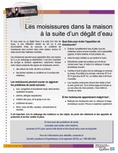 moisissures dégat d'eau